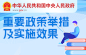 重要政策舉措及實施效果